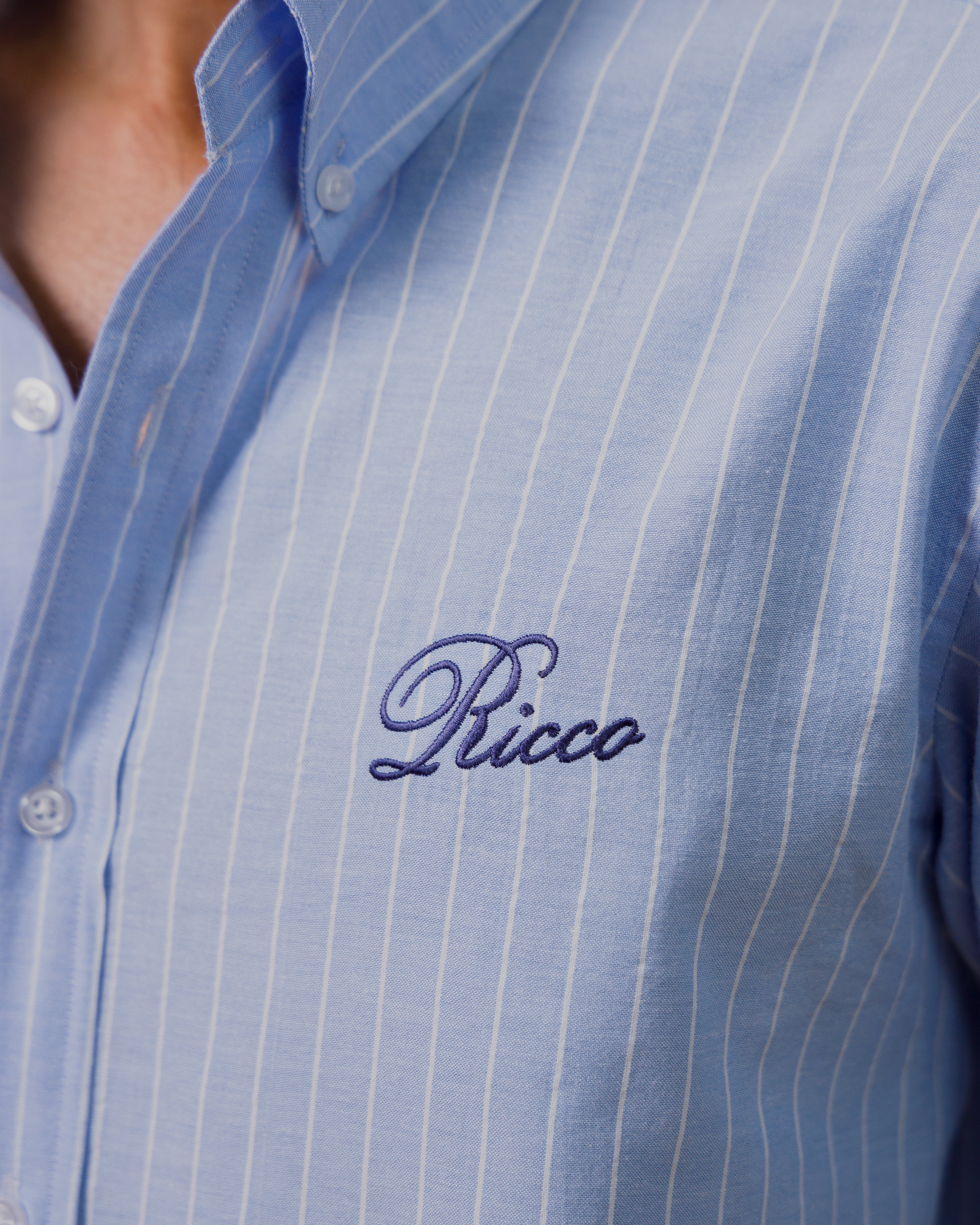 SKYLINE BUTTON DOWN